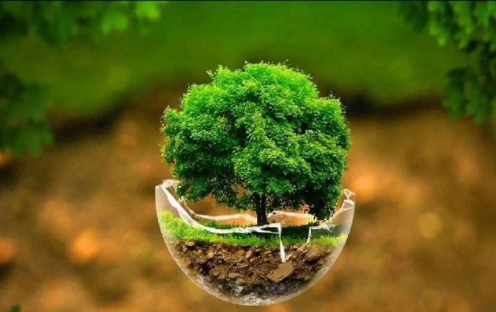 آیا ماینینگ بیت کوین به محیط زیست آسیب می زند؟
