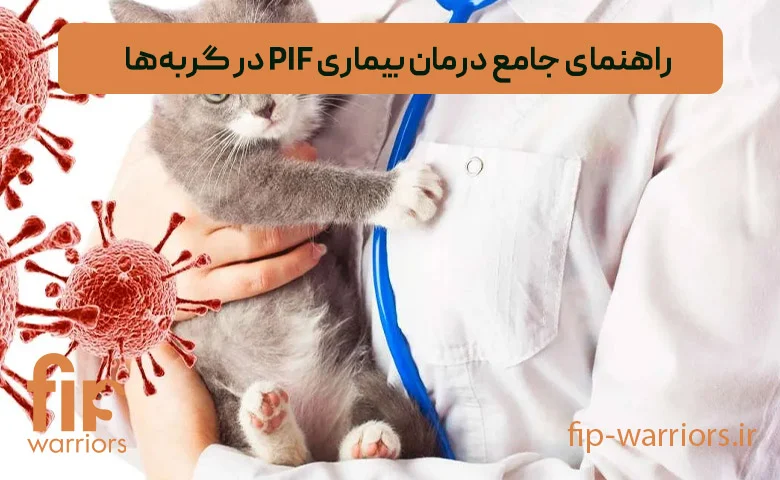 درمان فروش داروی GS-441524 برای درمان قطعی FIP در ایران