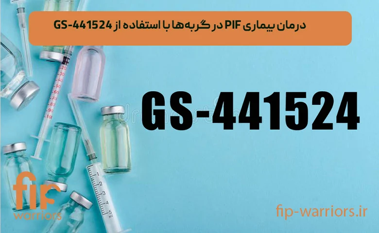 درمان فروش داروی GS-441524 برای درمان قطعی FIP در ایران