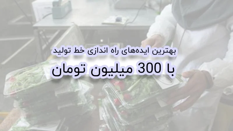 با 300 میلیون چیکار کنم در سال ۱۴۰۳ و ۱۴۰۴