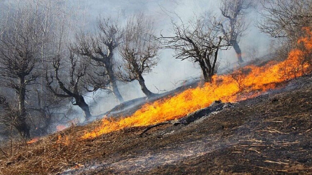 آتش‌سوزی در عرصه‌های طبیعی باروق مهار شد - خبرگزاری مهر | اخبار ایران و جهان