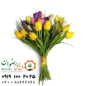 بهترین گل و گیاه برای هدیه ی روز معلم و استاد