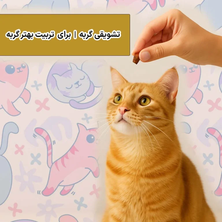 تشویقی گربه راهنمای جامع برای تربیت بهتر