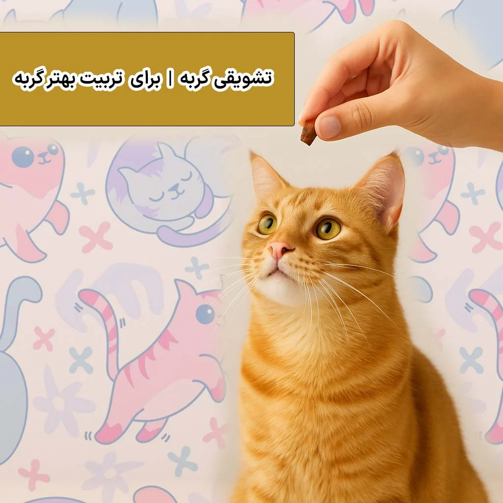 تشویقی گربه راهنمای جامع برای تربیت بهتر