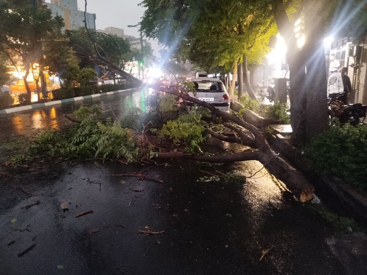 طوفان سبب مصدومیت چهار نفر در البرز شد