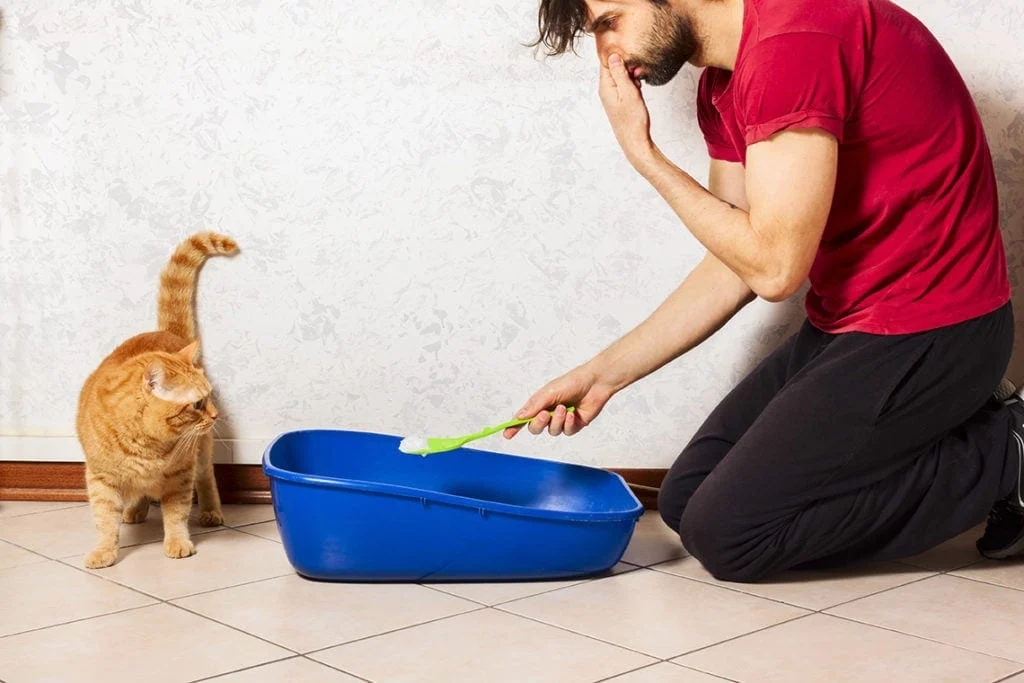 بوی بد حیوانات خانگی