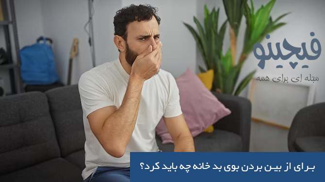 اسپری | تهویه چطور بوی نامطبوع خانه را از بین ببریم؟