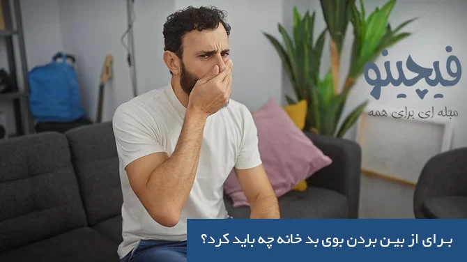 چطور بوی نامطبوع خانه را از بین ببریم؟
