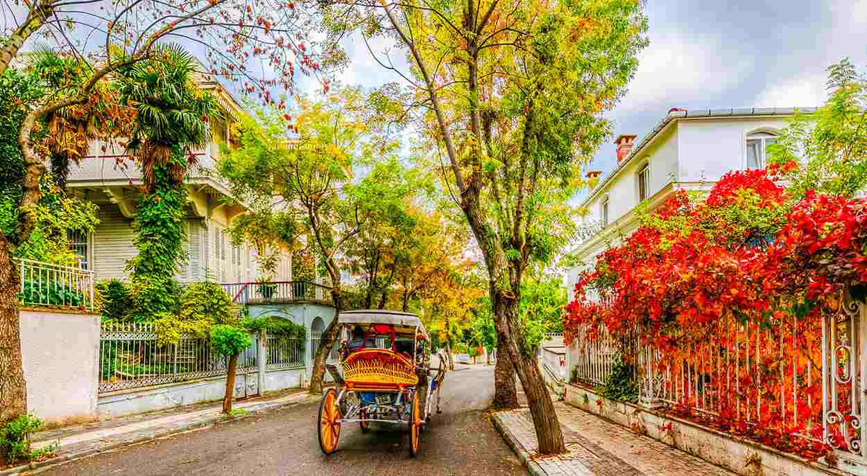 برنامه‌ریزی سفر پاییزی؛ چه تورهایی ارزش هزینه کردن دارند؟
