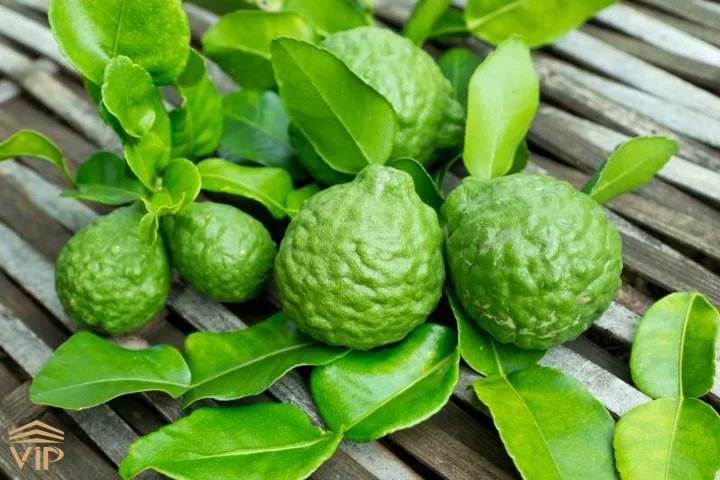 روغن | ماساژ برگاموت چیست
